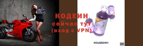 молекула духа Ладушкин