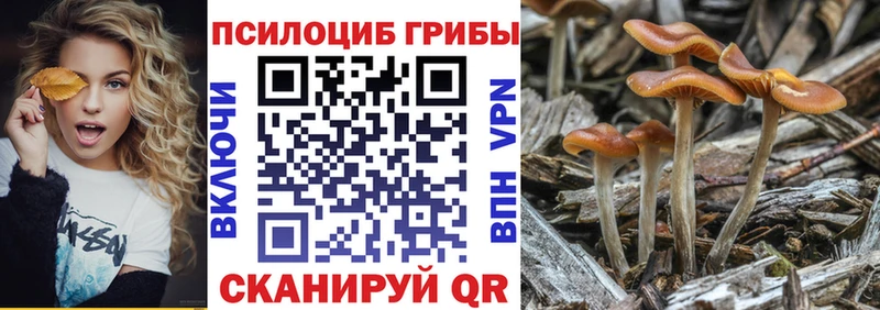 Псилоцибиновые грибы GOLDEN TEACHER  hydra зеркало  Ельня 